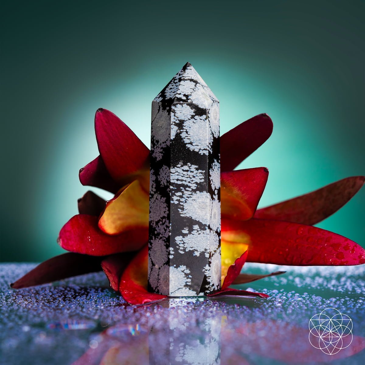 Spiritual Bodyguard - Snowflake Obsidian Point by Conscious Items at Shirley Shoppe