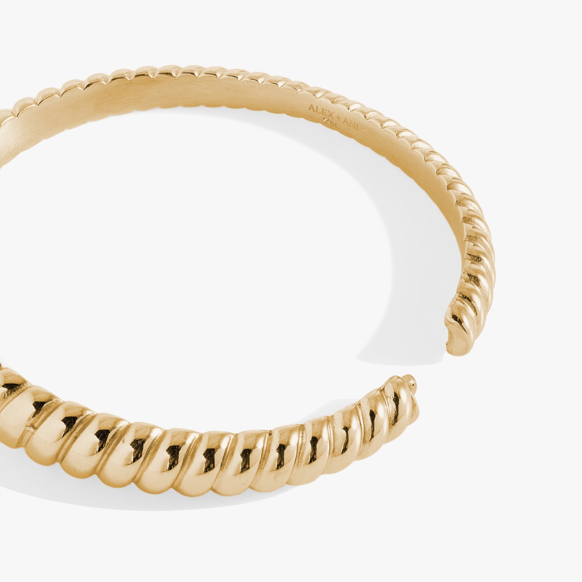 Stainless Steel Rope Textured Bangle by ALEX AND ANI at Shirley Shoppe