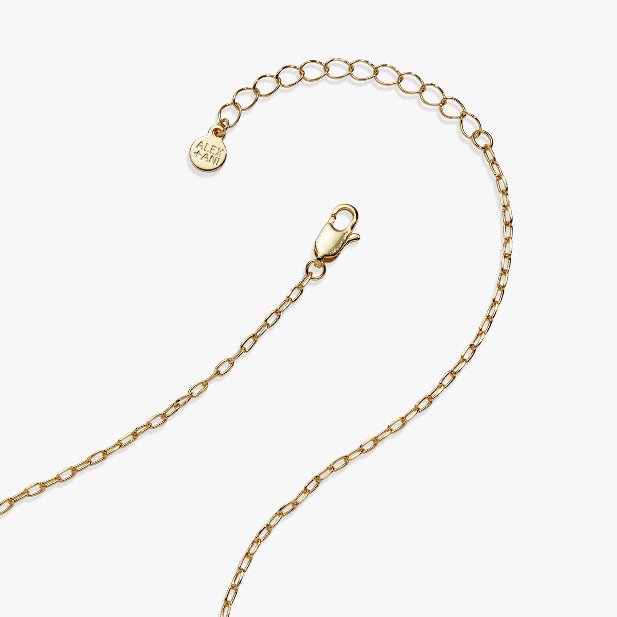 Taco Truck Locket Necklace by ALEX AND ANI at Shirley Shoppe