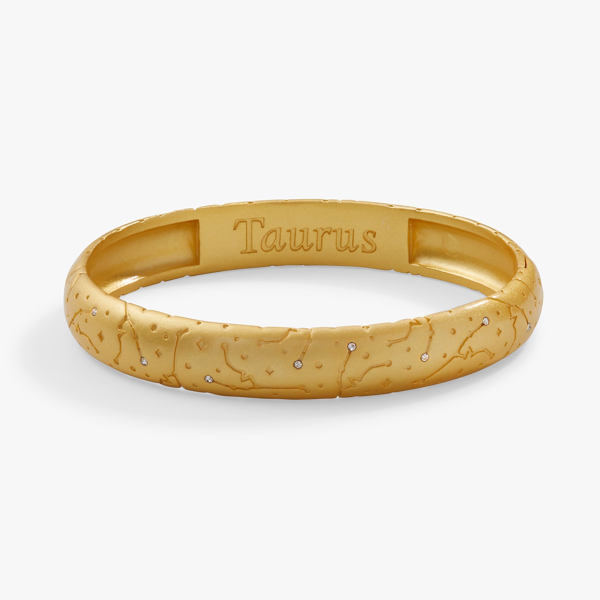 Taurus Zodiac Hinge Bangle by ALEX AND ANI at Shirley Shoppe