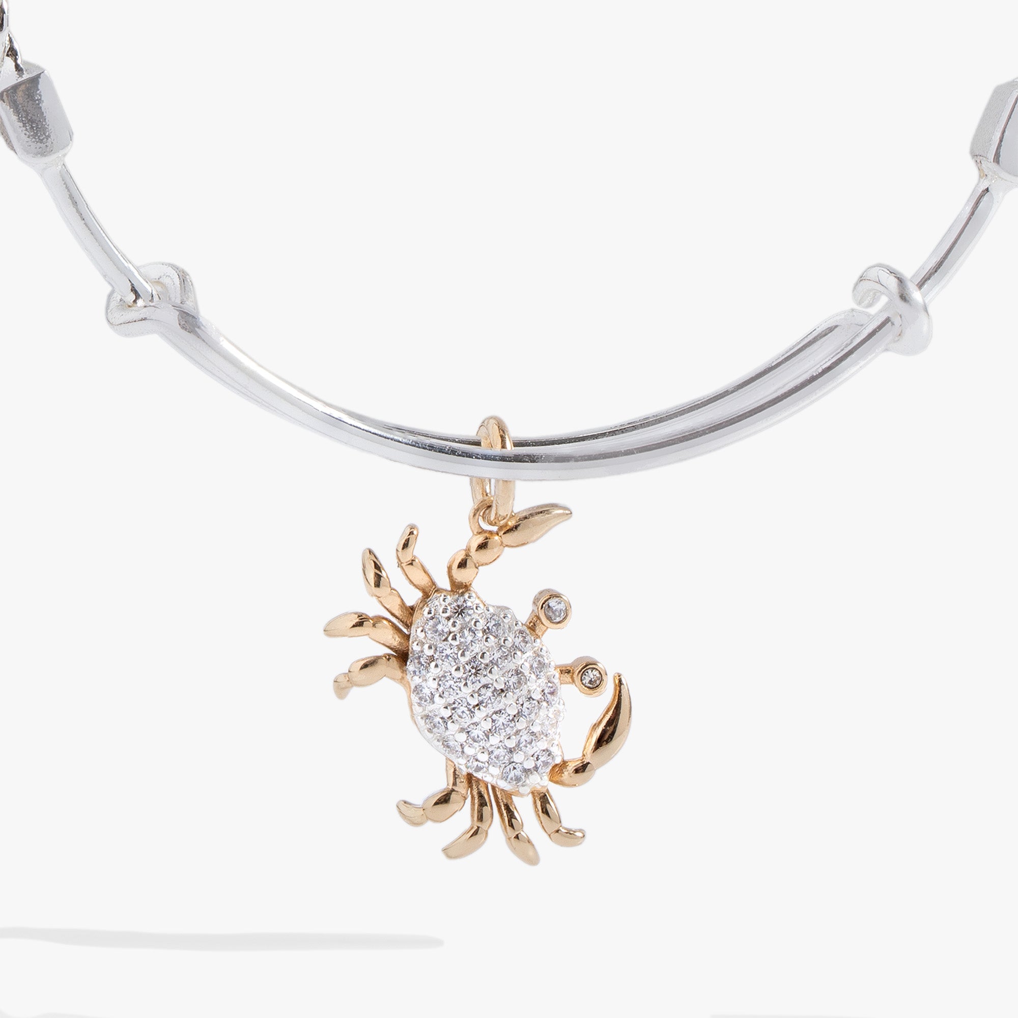 Textured Crab Charm Bangle by ALEX AND ANI at Shirley Shoppe