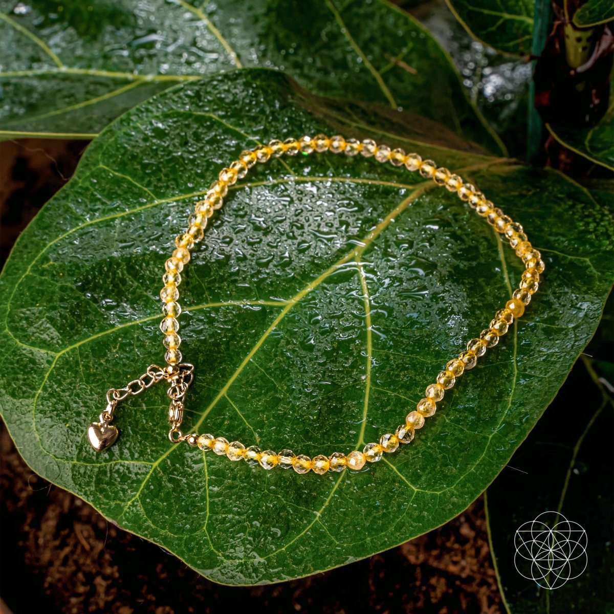 The Abundance Anklet by Conscious Items at Shirley Shoppe