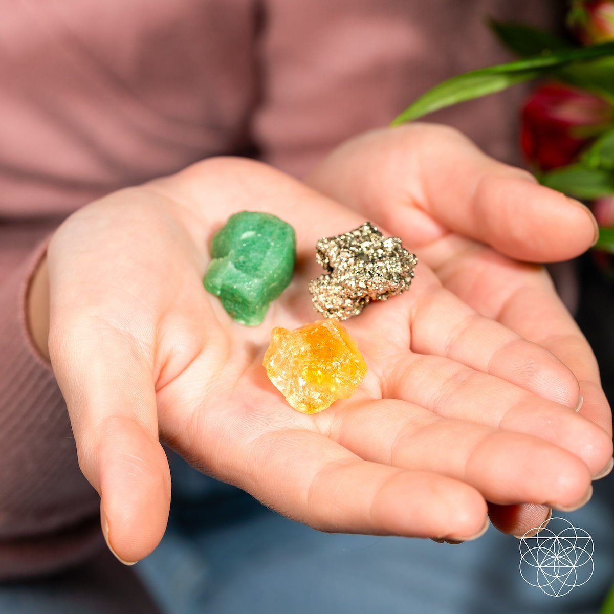 The Abundance Trio by Conscious Items at Shirley Shoppe