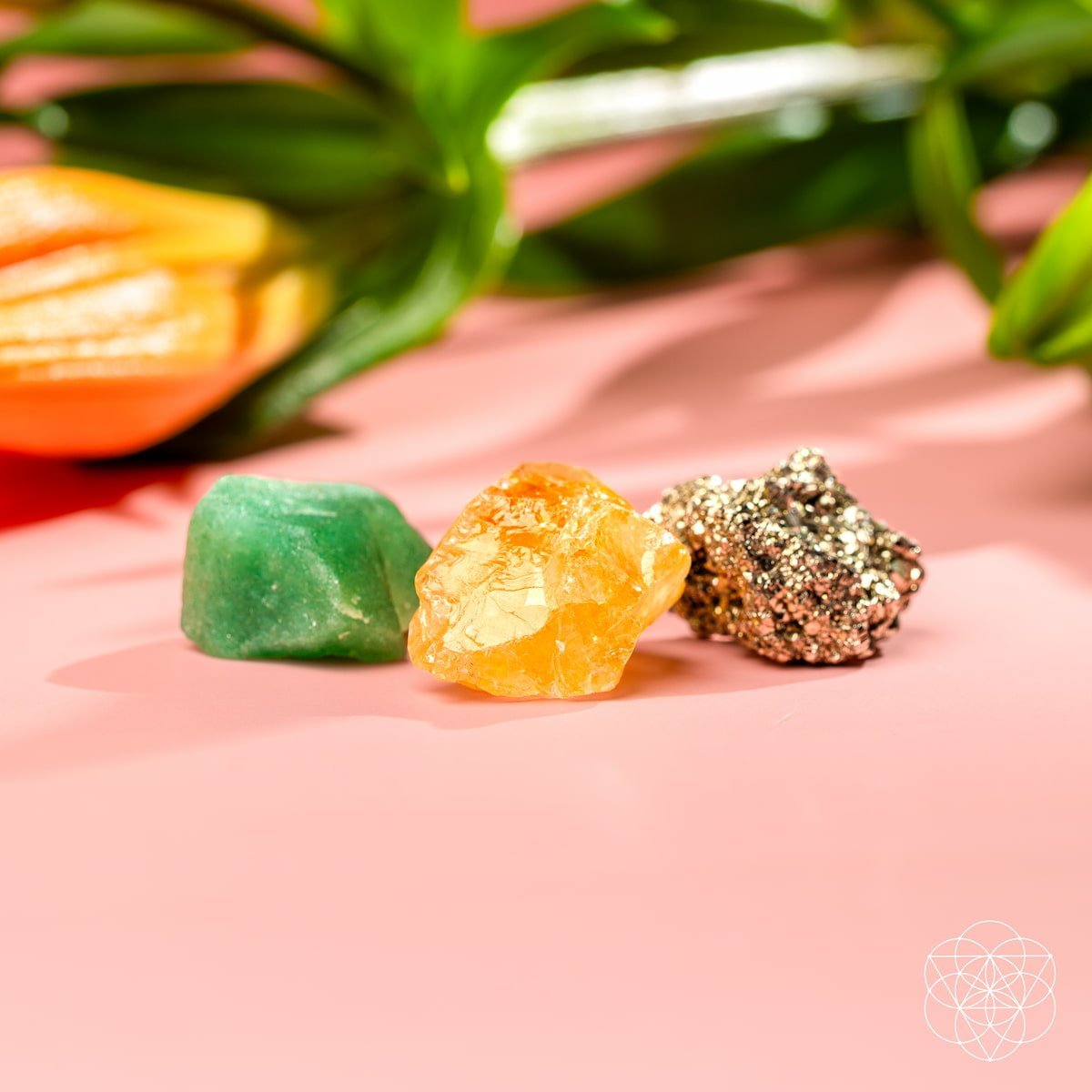 The Abundance Trio by Conscious Items at Shirley Shoppe