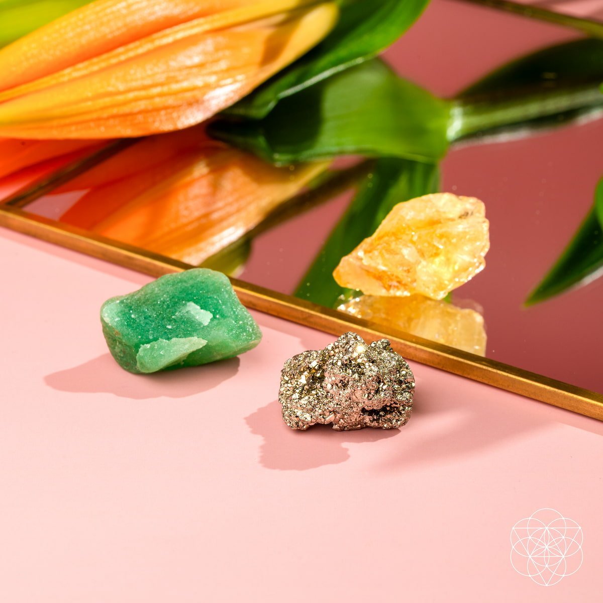 The Abundance Trio by Conscious Items at Shirley Shoppe