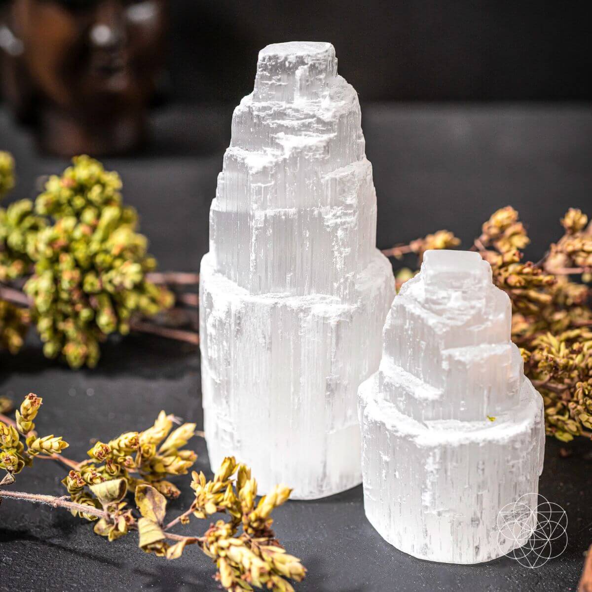 The All-Cleansing Tower by Conscious Items at Shirley Shoppe