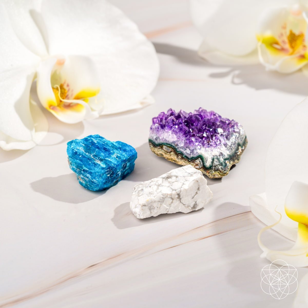The Anti-Anxiety Trio by Conscious Items at Shirley Shoppe