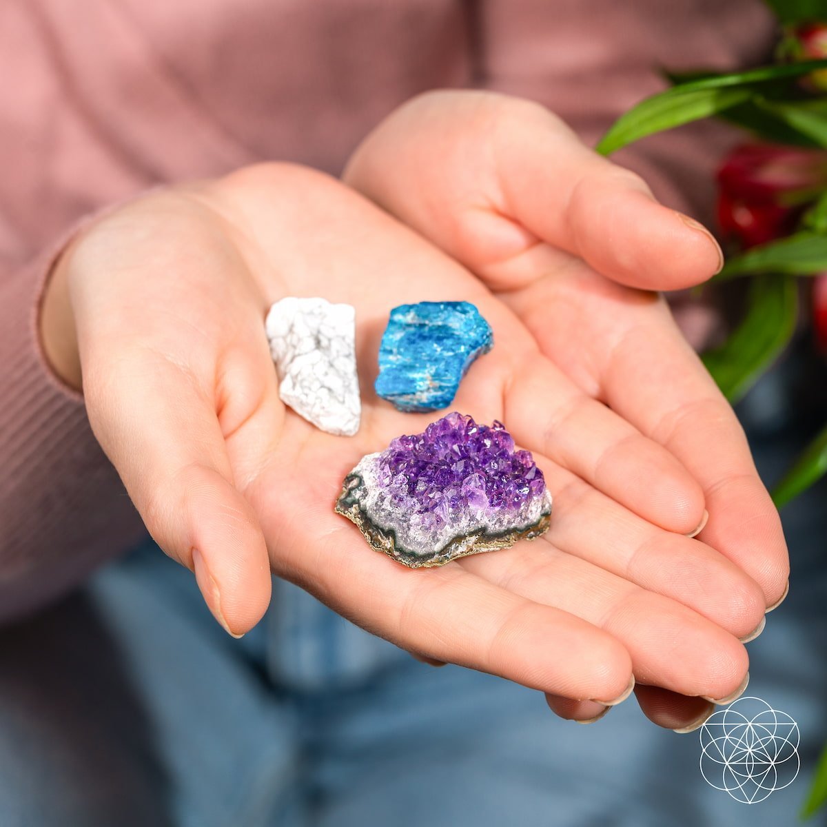 The Anti-Anxiety Trio by Conscious Items at Shirley Shoppe