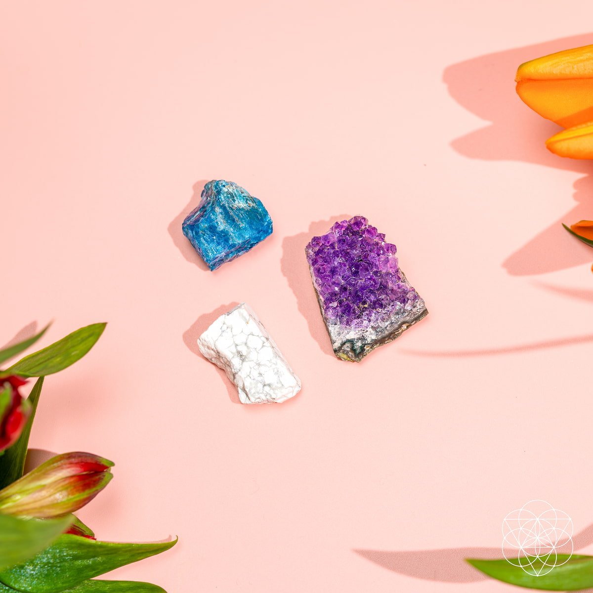 The Anti-Anxiety Trio by Conscious Items at Shirley Shoppe