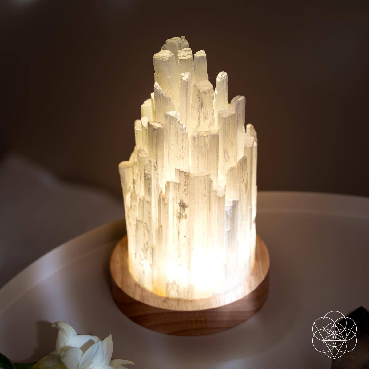 The Cleanse-All Selenite Lamp - 2 Pounds of Healing Power by Conscious Items at Shirley Shoppe
