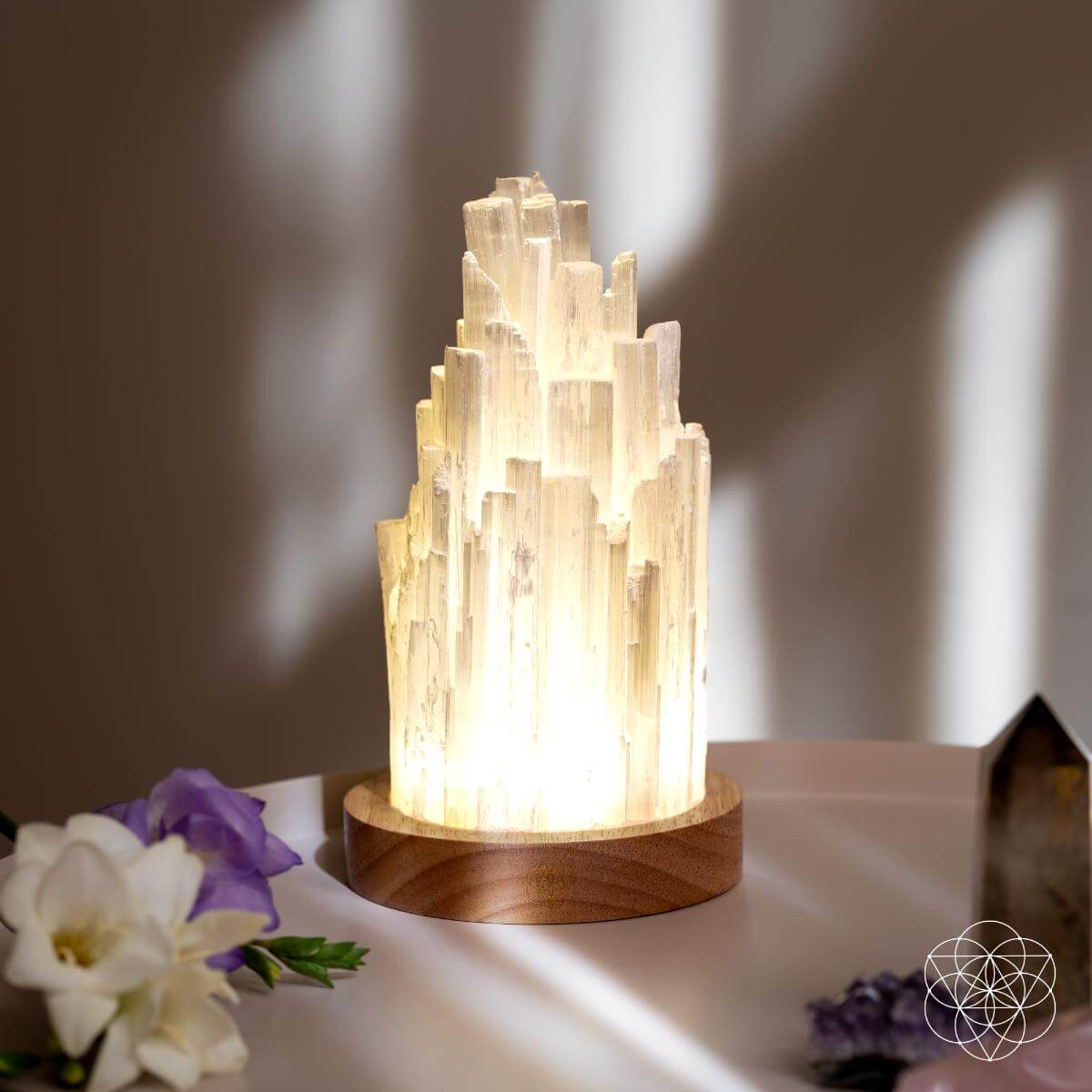 The Cleanse-All Selenite Lamp - 2 Pounds of Healing Power by Conscious Items at Shirley Shoppe