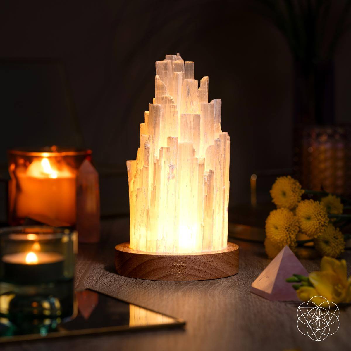 The Cleanse-All Selenite Lamp - 2 Pounds of Healing Power by Conscious Items at Shirley Shoppe