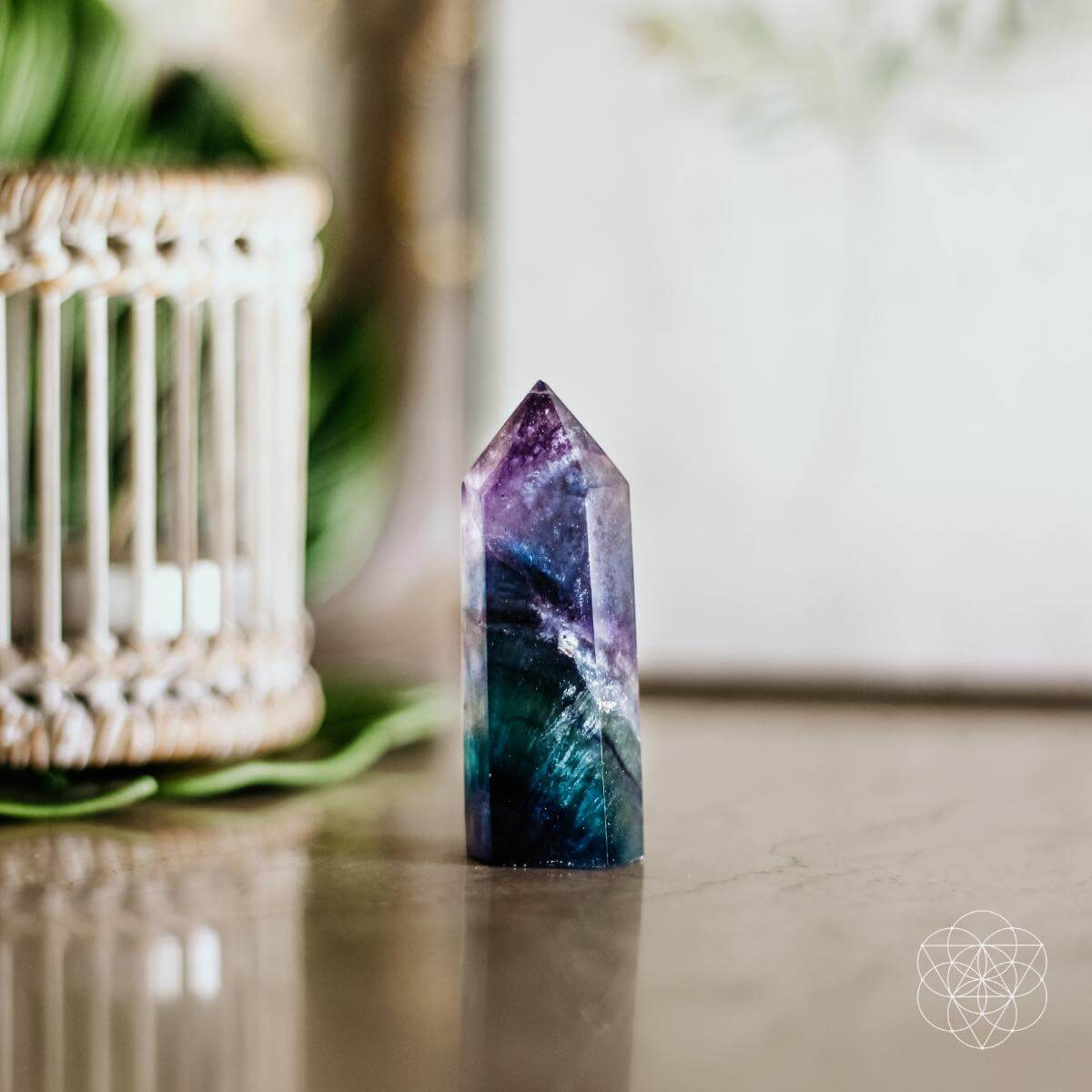 The Cleansing Stone by Conscious Items at Shirley Shoppe