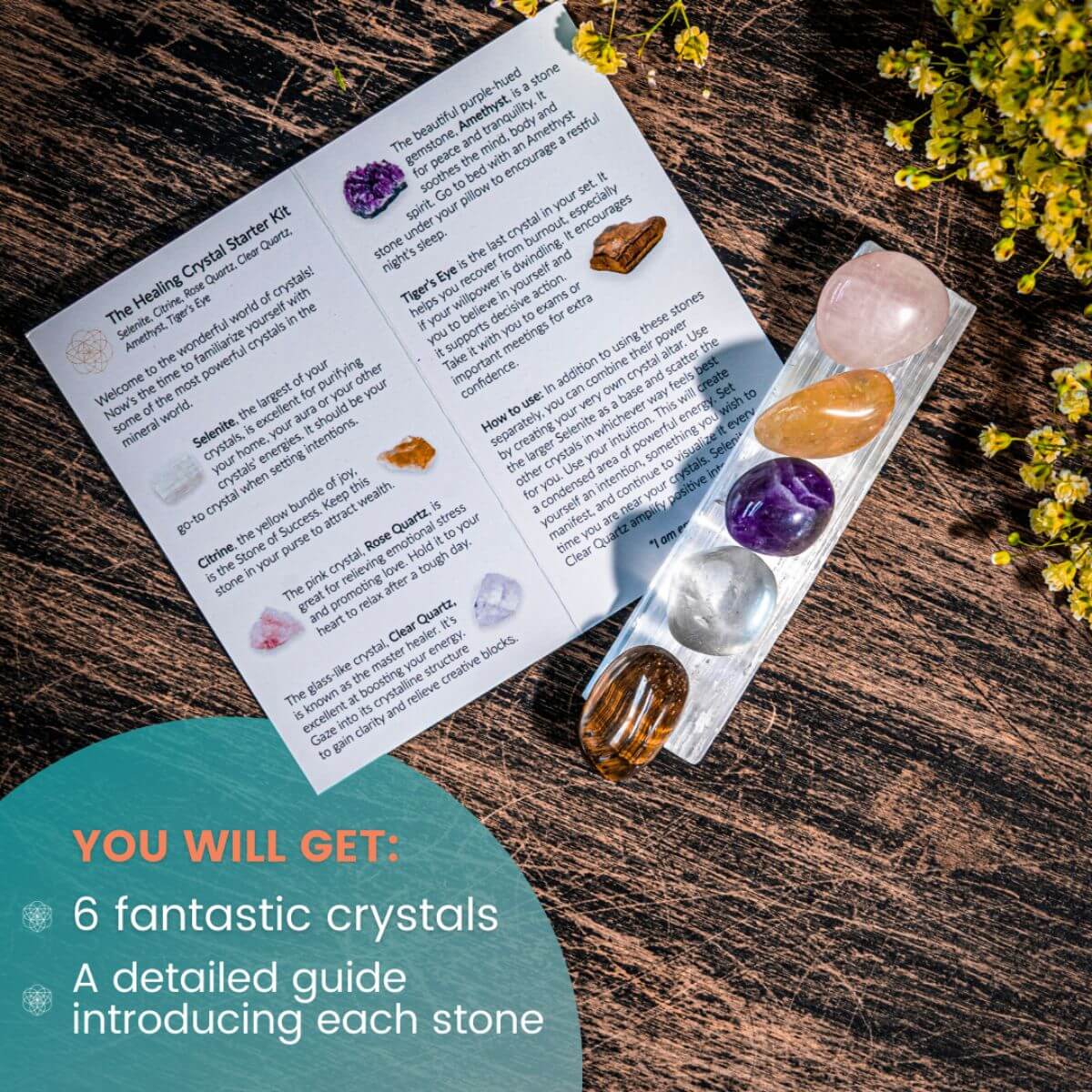 The Healing Crystal Starter Kit by Conscious Items at Shirley Shoppe