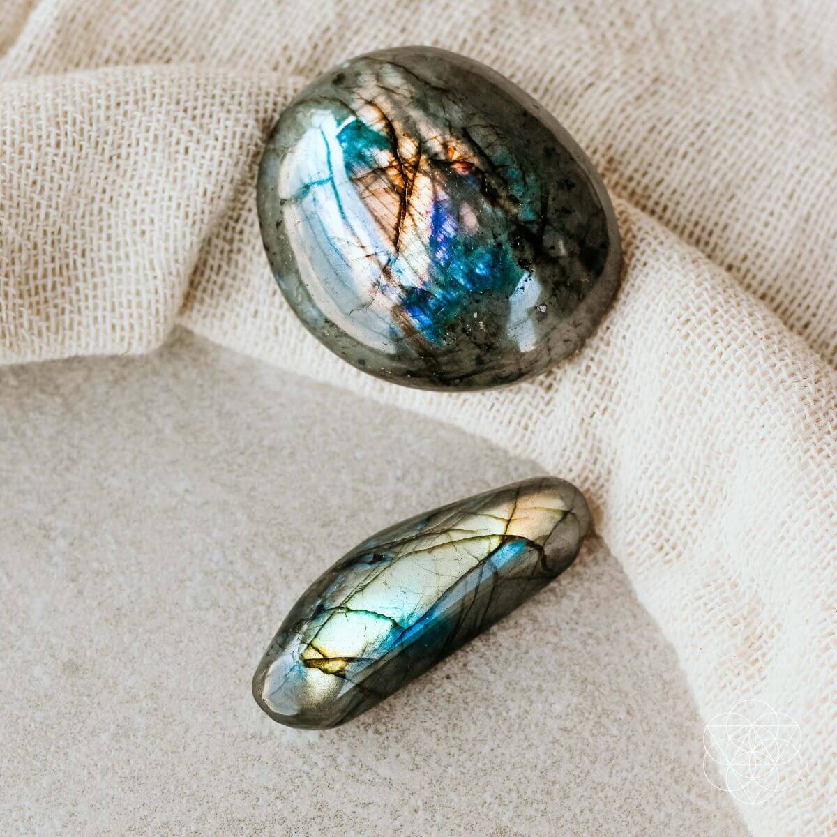 The Mind-Expanding Stone by Conscious Items at Shirley Shoppe
