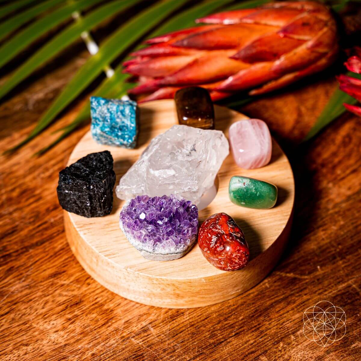 The Natural Energy Lamp by Conscious Items at Shirley Shoppe