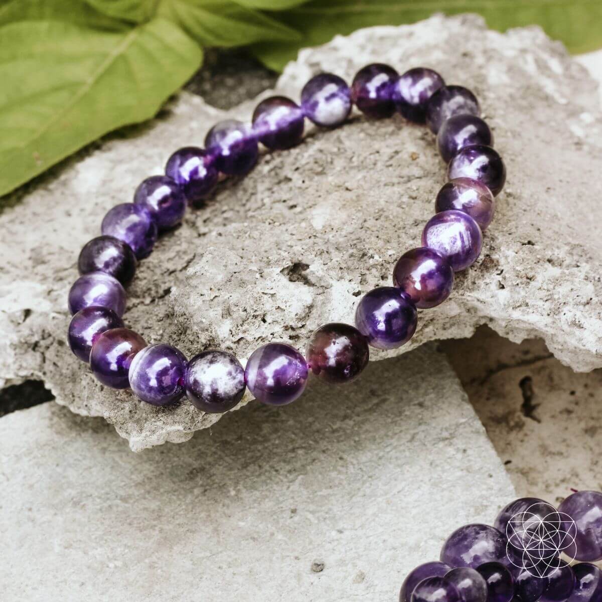 The Purification Bracelet by Conscious Items at Shirley Shoppe