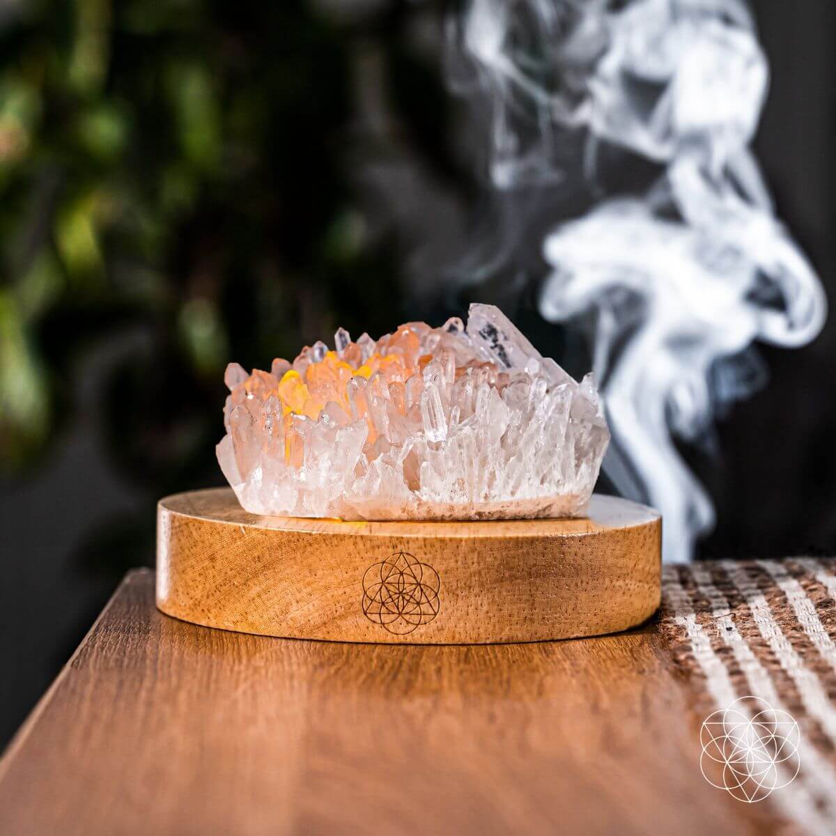 The Purification Lamp by Conscious Items at Shirley Shoppe
