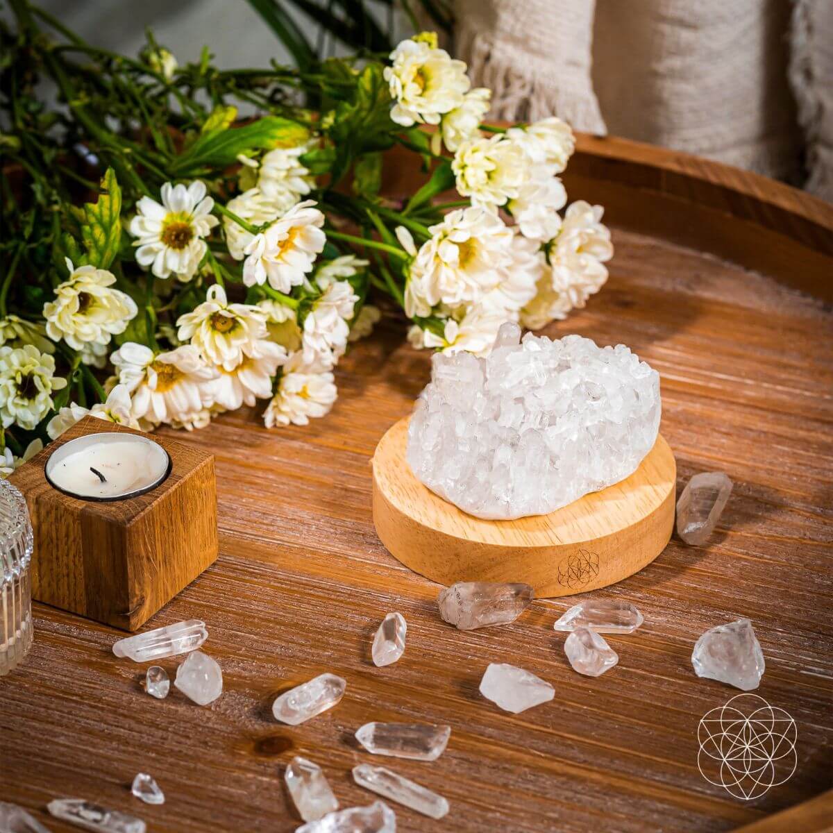 The Purification Lamp by Conscious Items at Shirley Shoppe