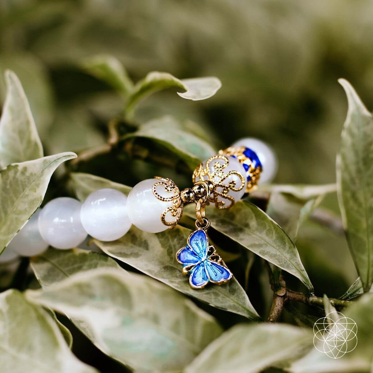 The Spiritual Growth Bracelet by Conscious Items at Shirley Shoppe