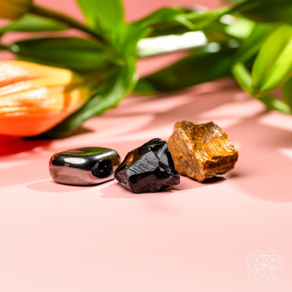 The Triple Protection Trio by Conscious Items at Shirley Shoppe