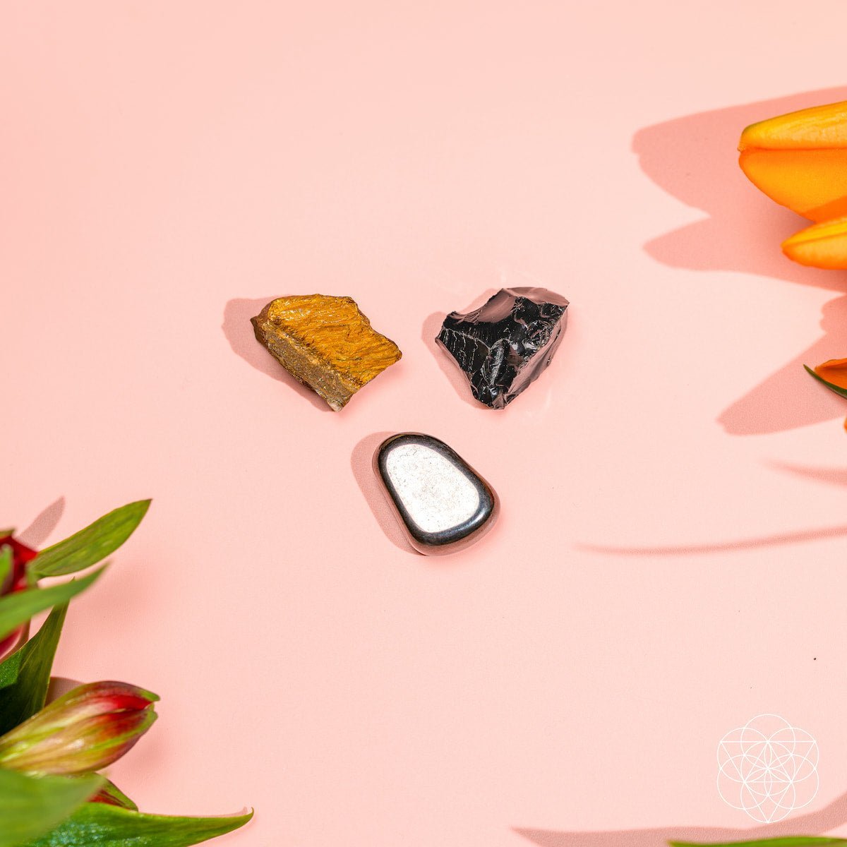 The Triple Protection Trio by Conscious Items at Shirley Shoppe