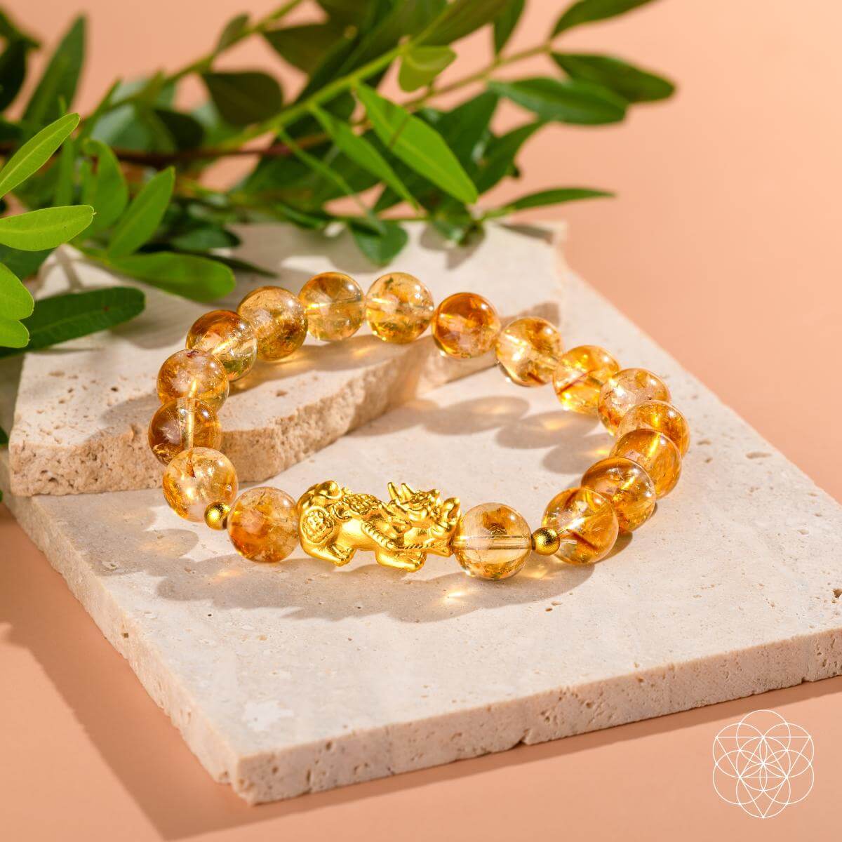 The Ultimate Wealth Bracelet by Conscious Items at Shirley Shoppe