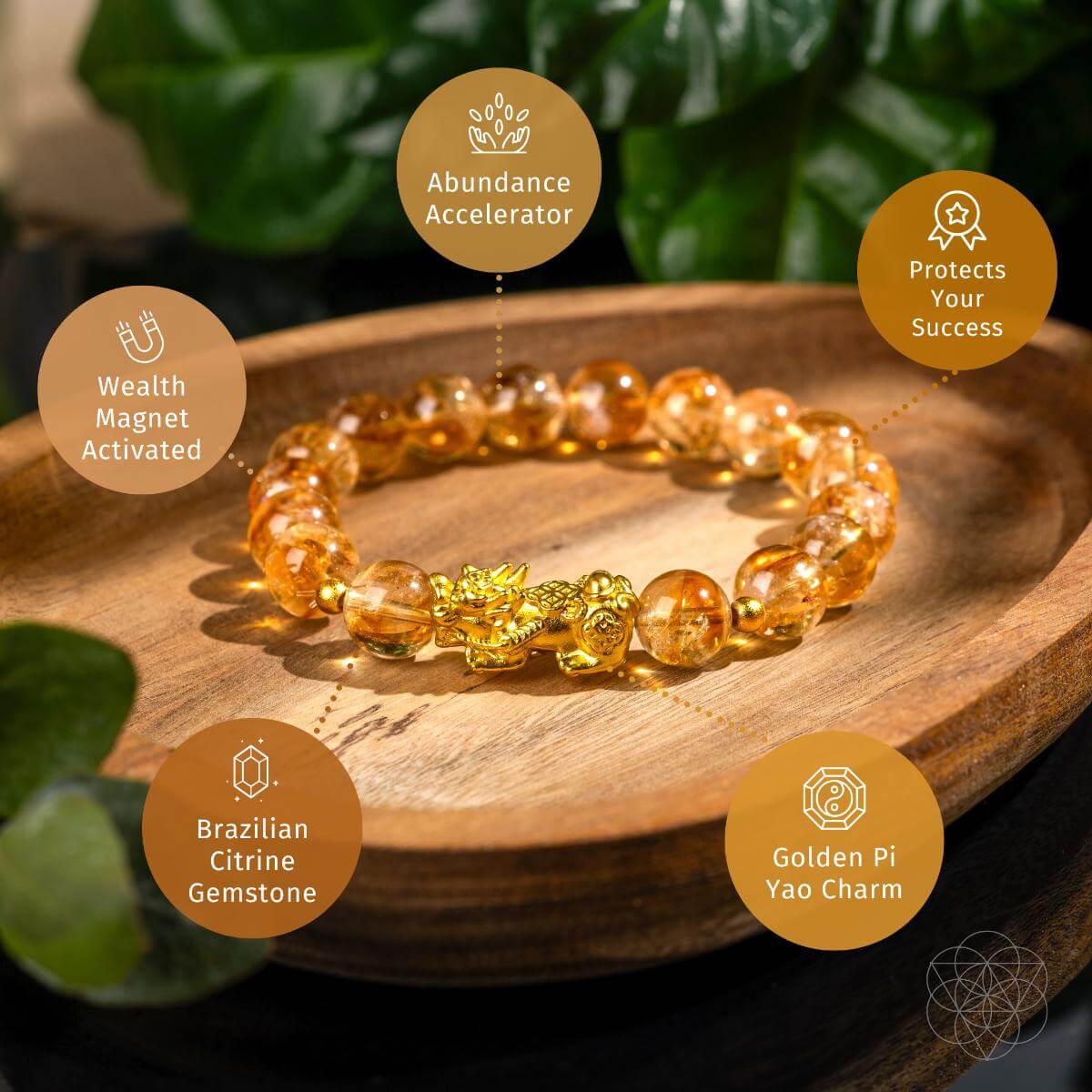 The Ultimate Wealth Bracelet by Conscious Items at Shirley Shoppe