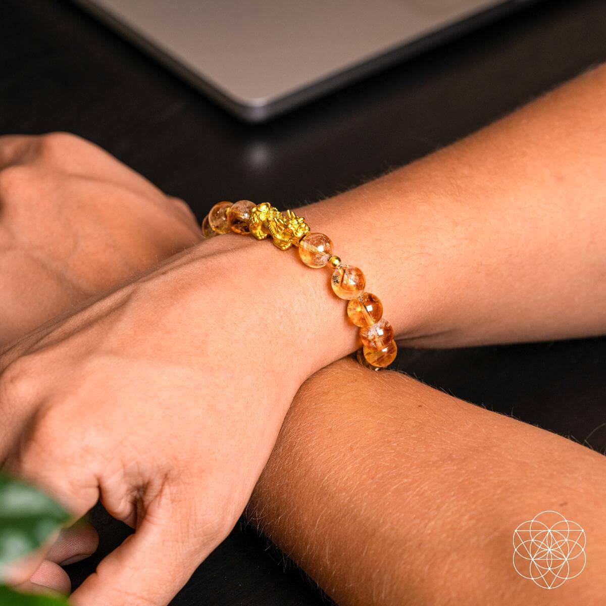 The Ultimate Wealth Bracelet by Conscious Items at Shirley Shoppe
