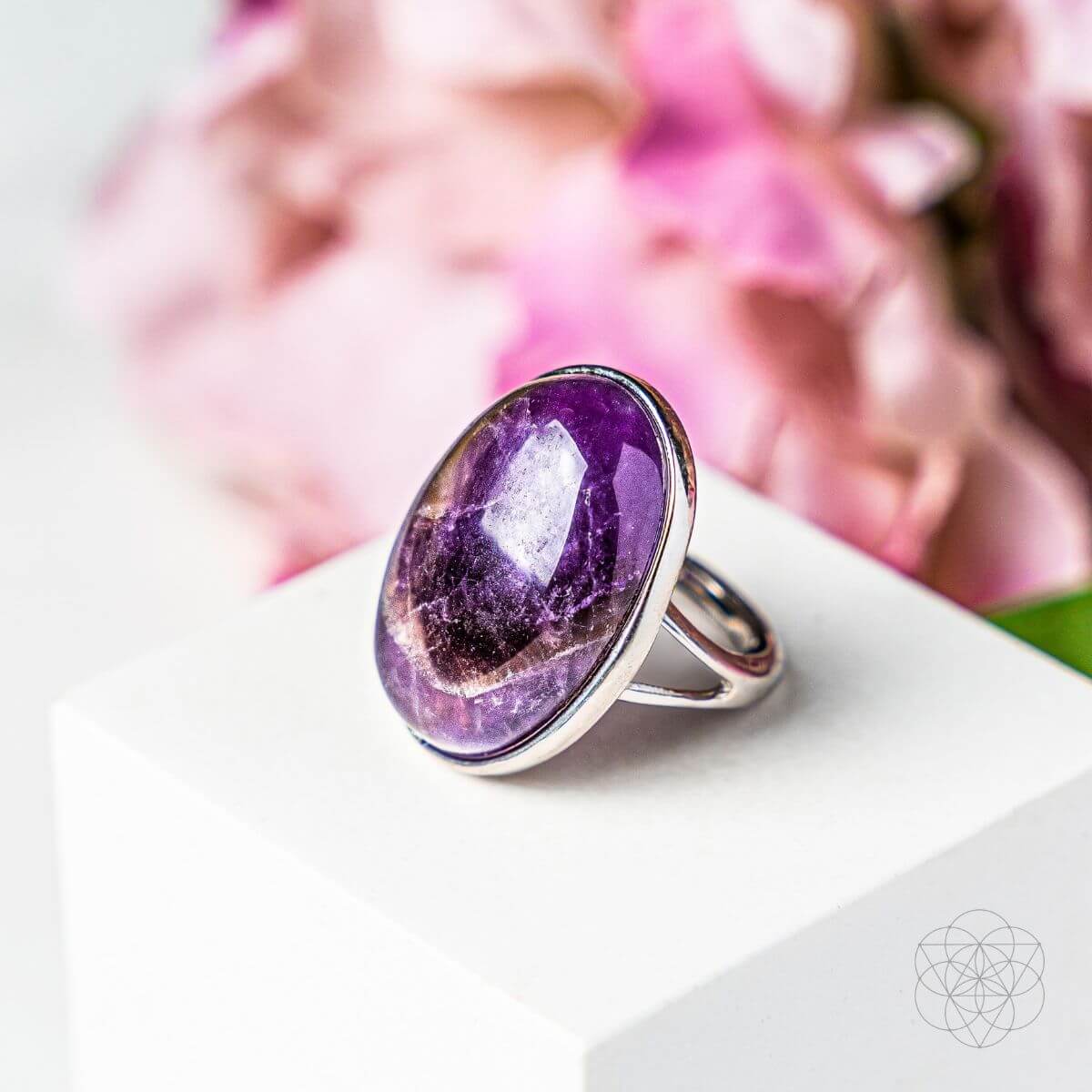 The Visualization Ring by Conscious Items at Shirley Shoppe