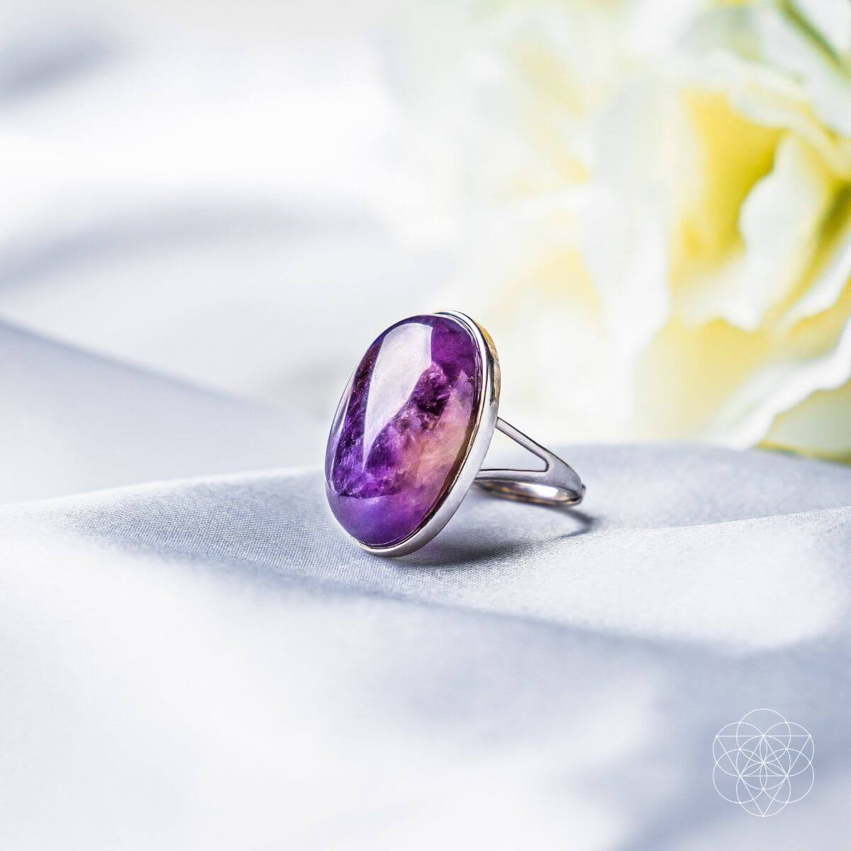 The Visualization Ring by Conscious Items at Shirley Shoppe