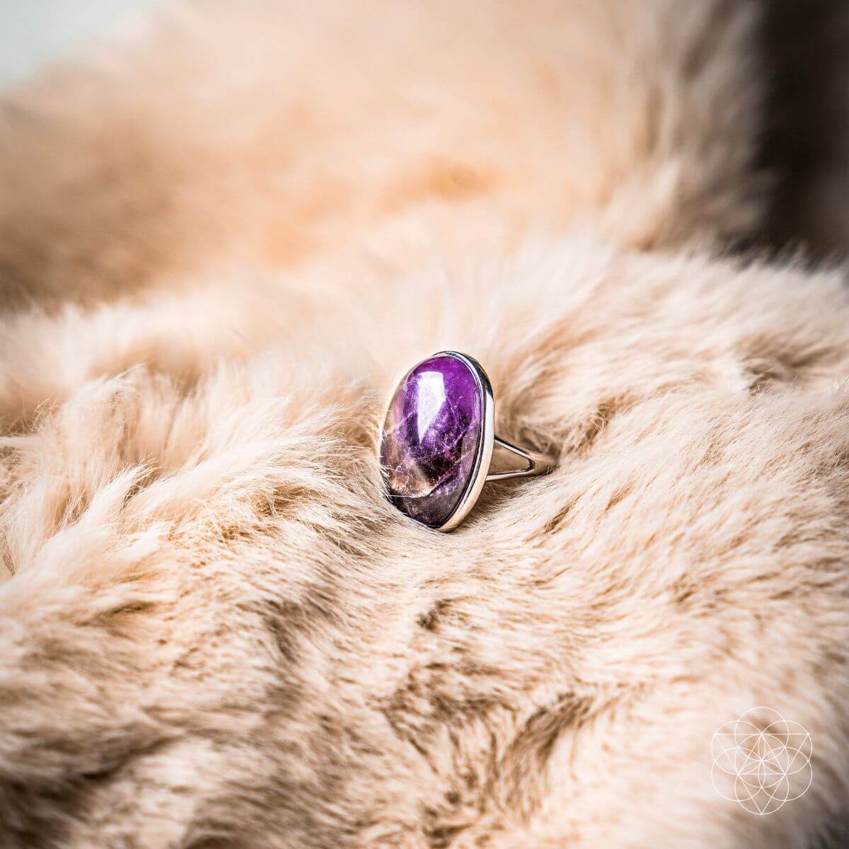 The Visualization Ring by Conscious Items at Shirley Shoppe