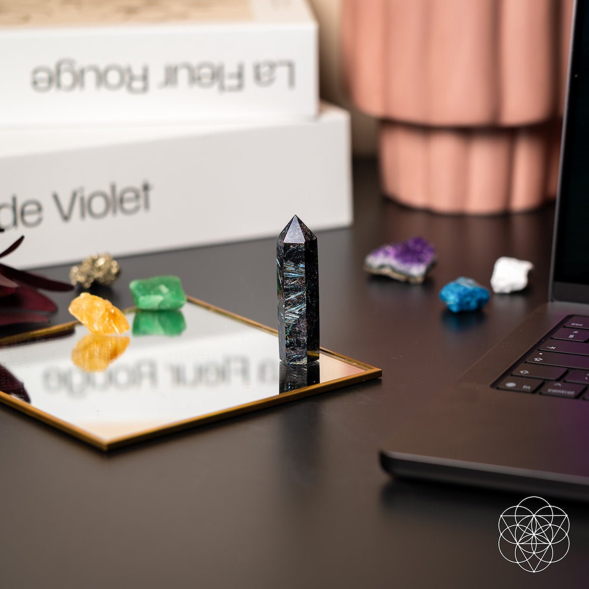 This Is Your Breakthrough – Rare Arfvedsonite Point by Conscious Items at Shirley Shoppe