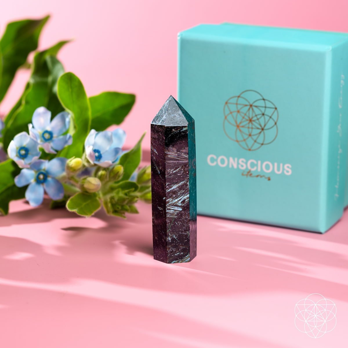 This Is Your Breakthrough – Rare Arfvedsonite Point by Conscious Items at Shirley Shoppe