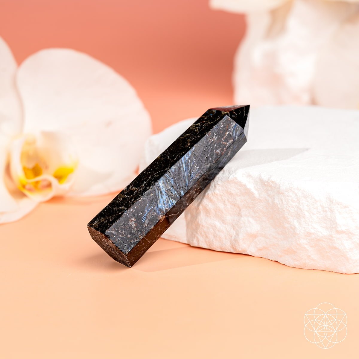 This Is Your Breakthrough – Rare Arfvedsonite Point by Conscious Items at Shirley Shoppe