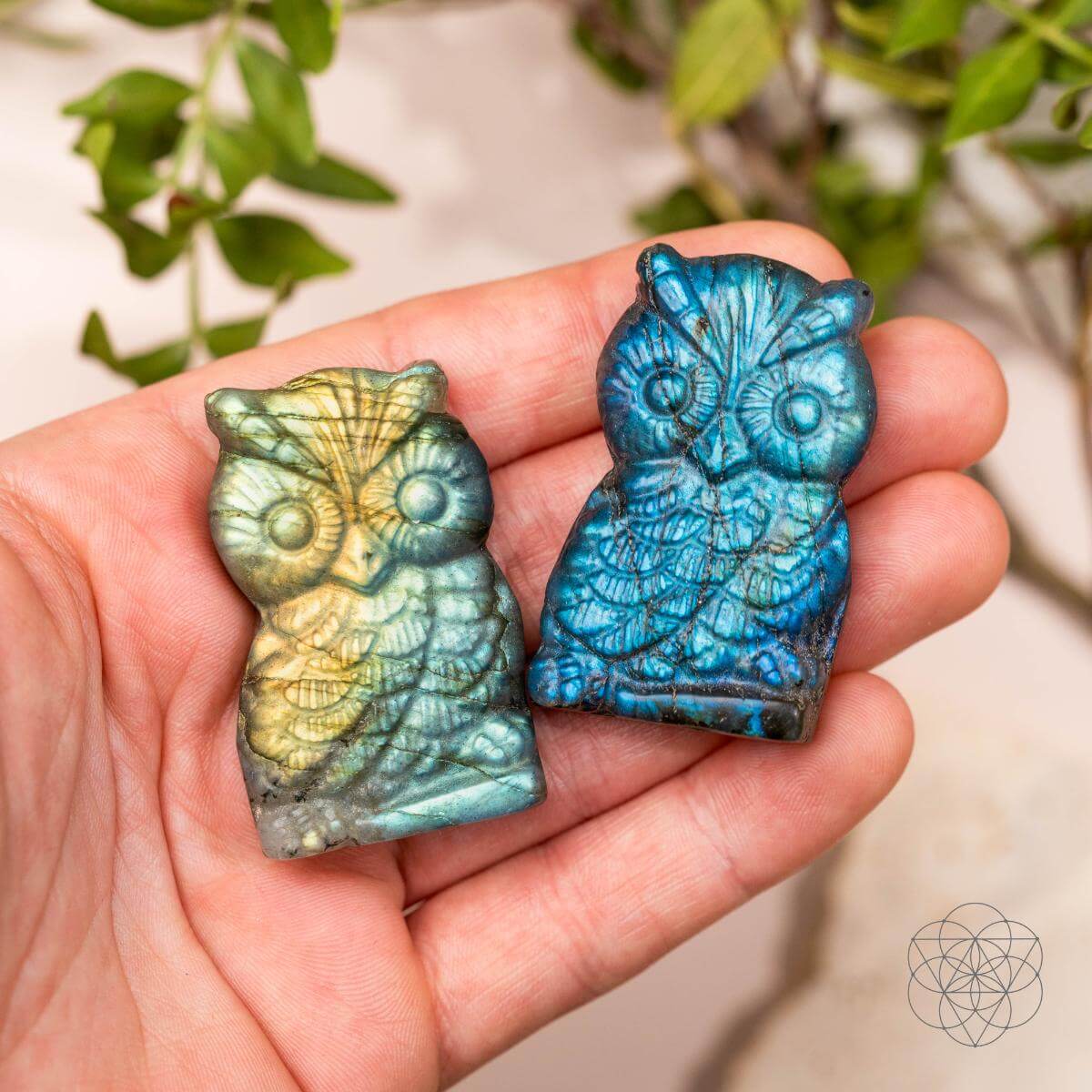Token of Wisdom - Labradorite Owl Talisman by Conscious Items at Shirley Shoppe