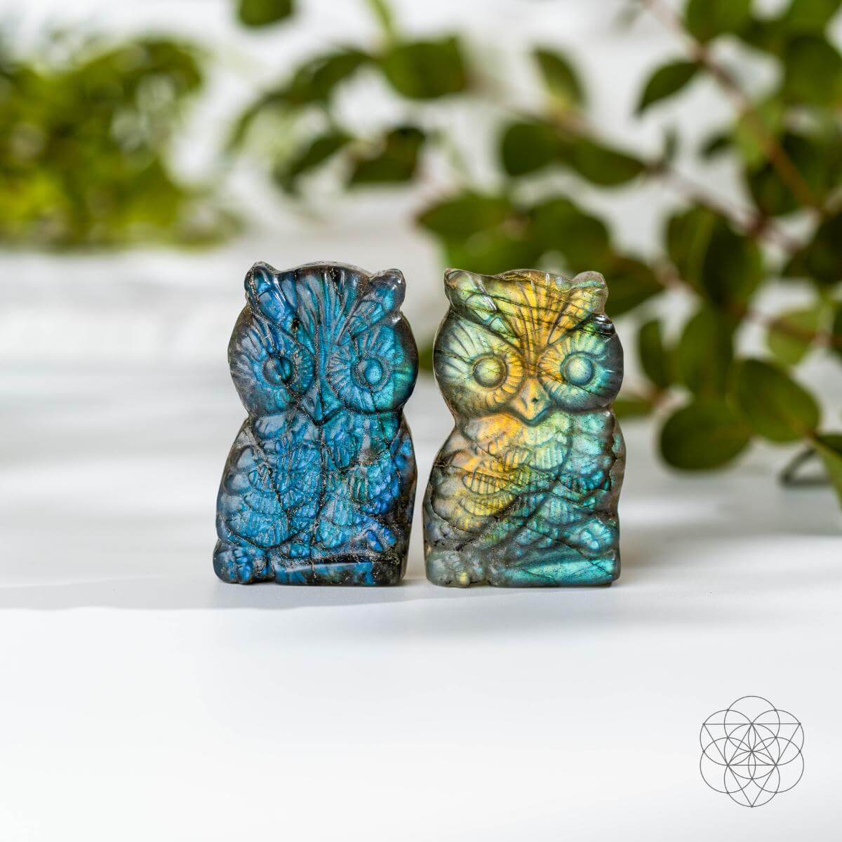 Token of Wisdom - Labradorite Owl Talisman by Conscious Items at Shirley Shoppe