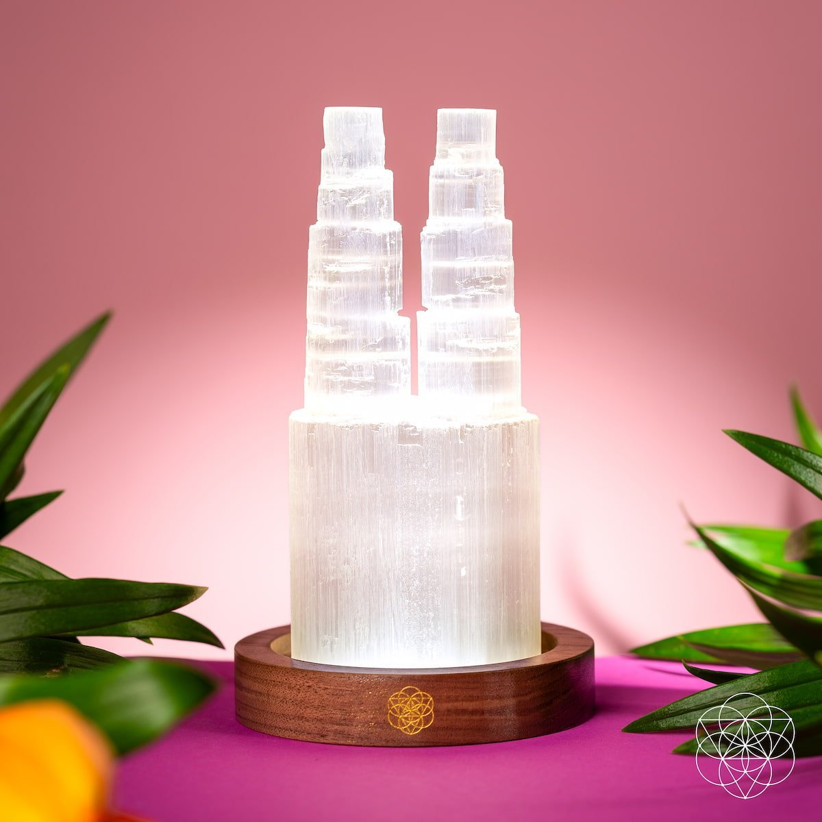 Two-Tower Selenite Lamp – Deep Energy Cleanse & Reset by Conscious Items at Shirley Shoppe