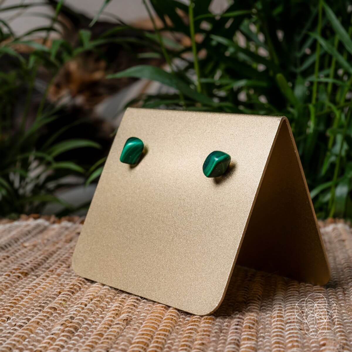 Wealth and Abundance Earring Set by Conscious Items at Shirley Shoppe