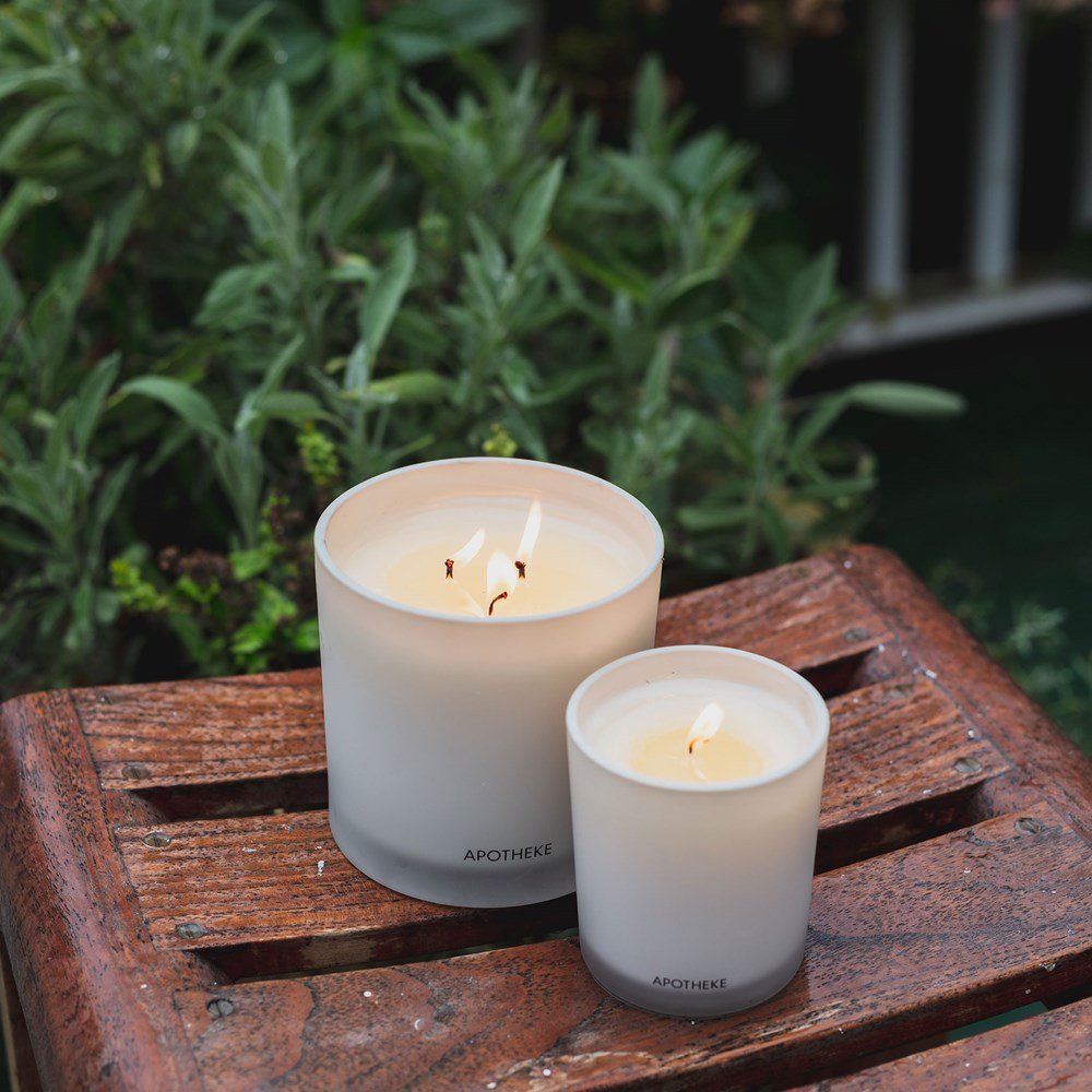 Wild Mint and Ivy 3-Wick Candle by APOTHEKE at Shirley Shoppe
