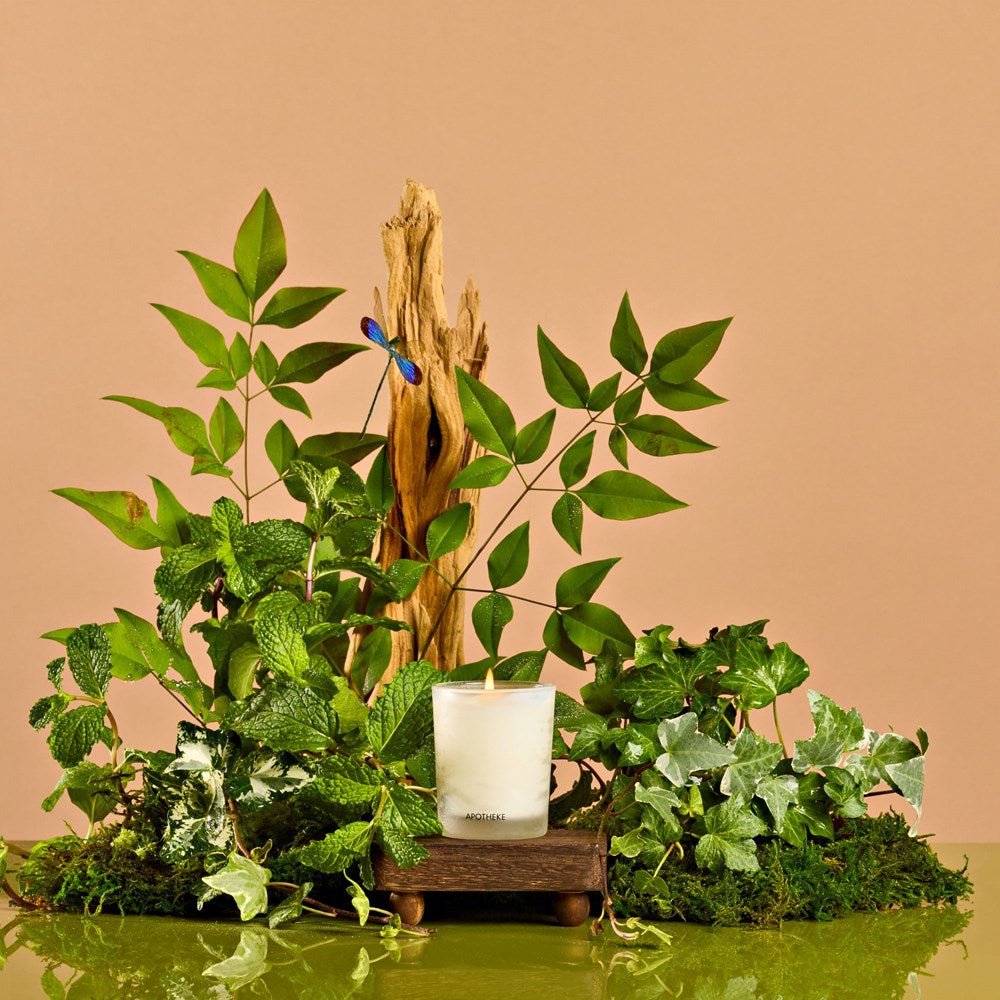 Wild Mint and Ivy Votive Candle by APOTHEKE at Shirley Shoppe