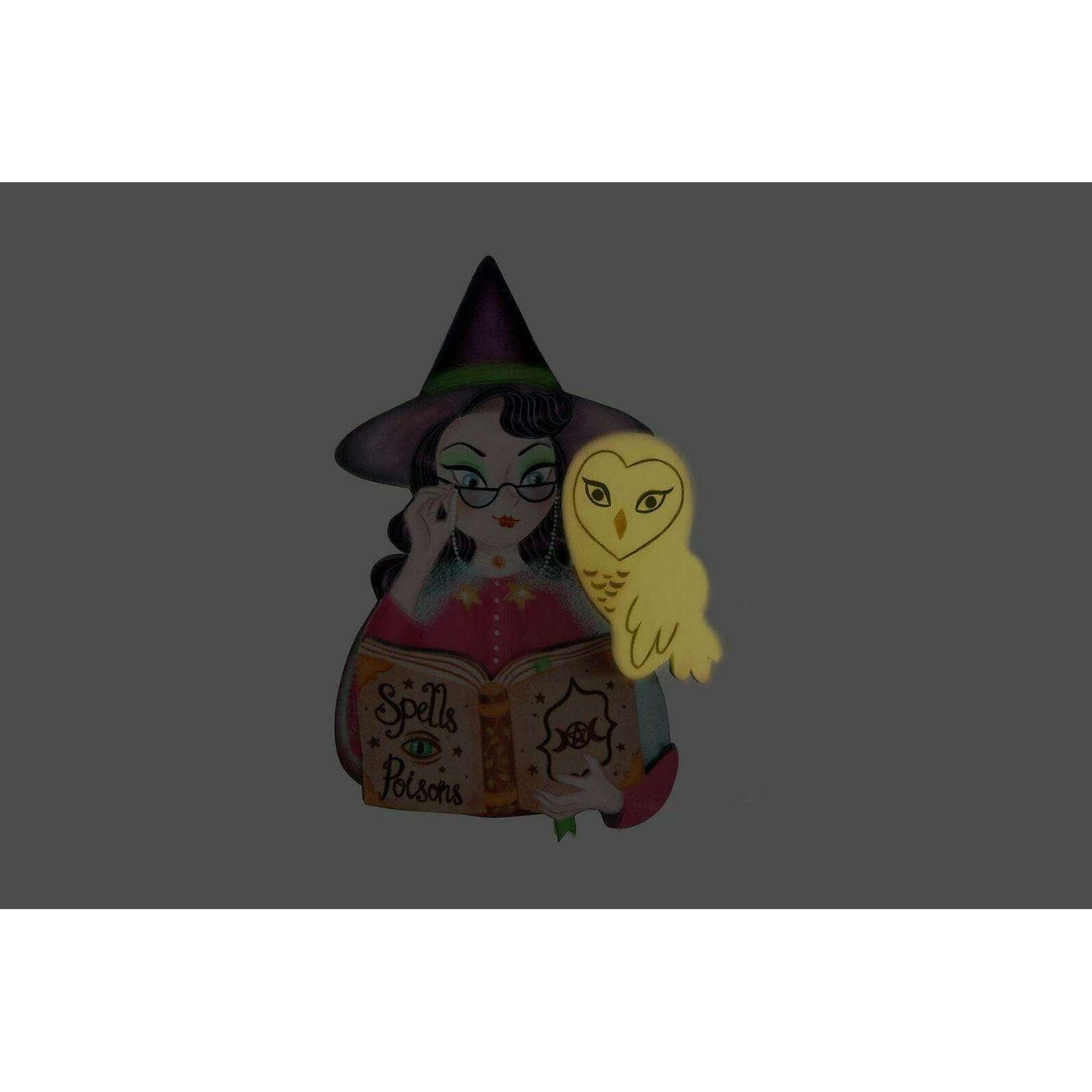 Witch with Owl Halloween Brooch by Laliblue