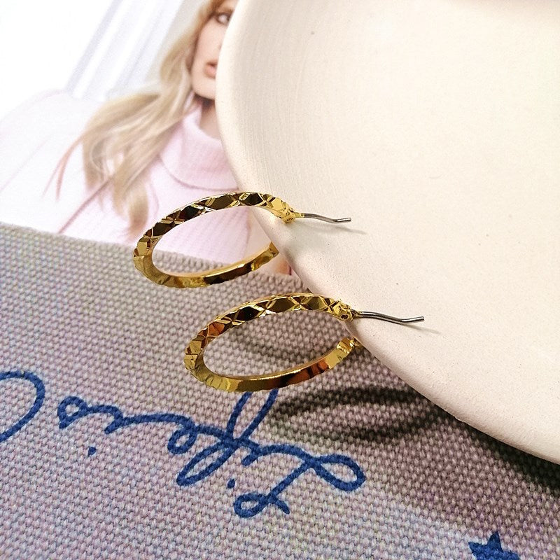 Circle Personalized Frosty Style Female Cool Handsome Earrings