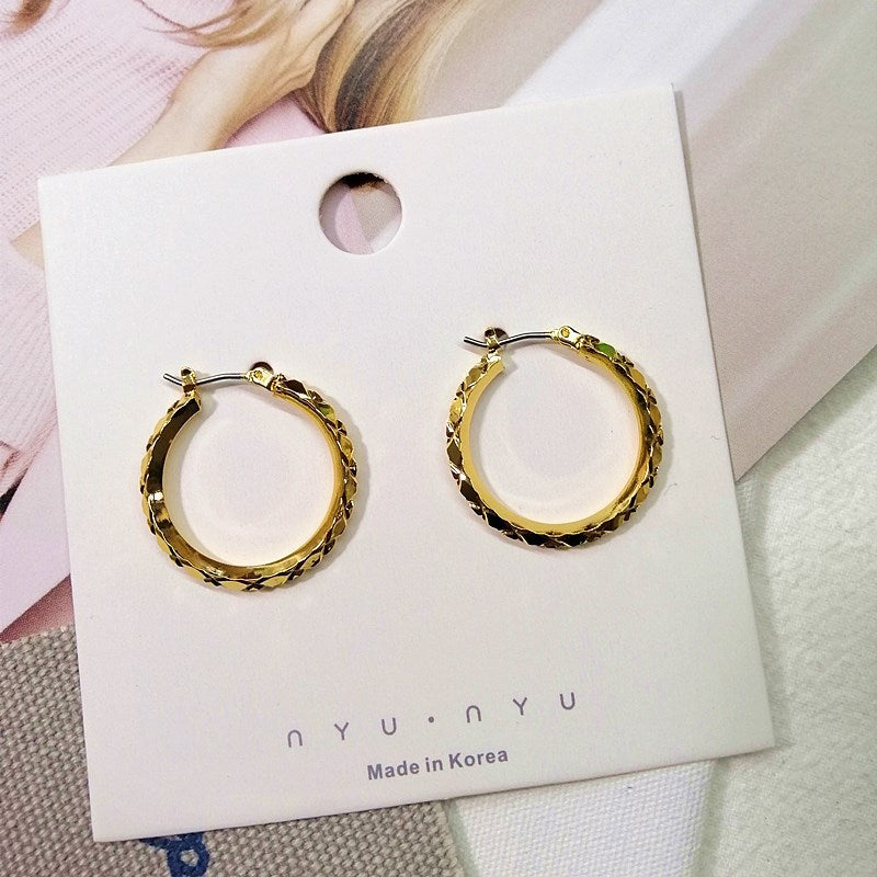 Circle Personalized Frosty Style Female Cool Handsome Earrings