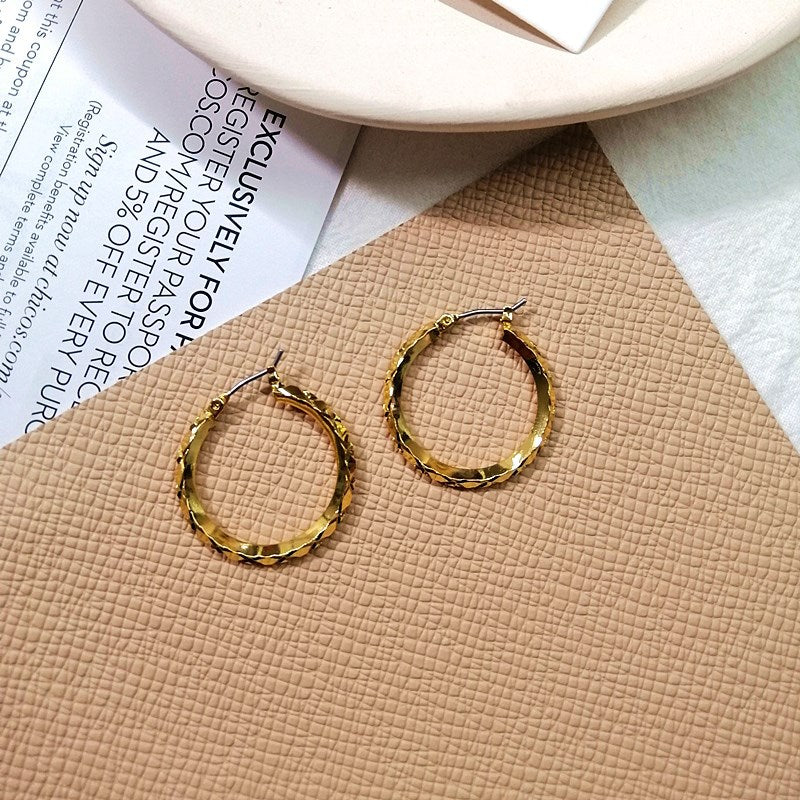 Circle Personalized Frosty Style Female Cool Handsome Earrings