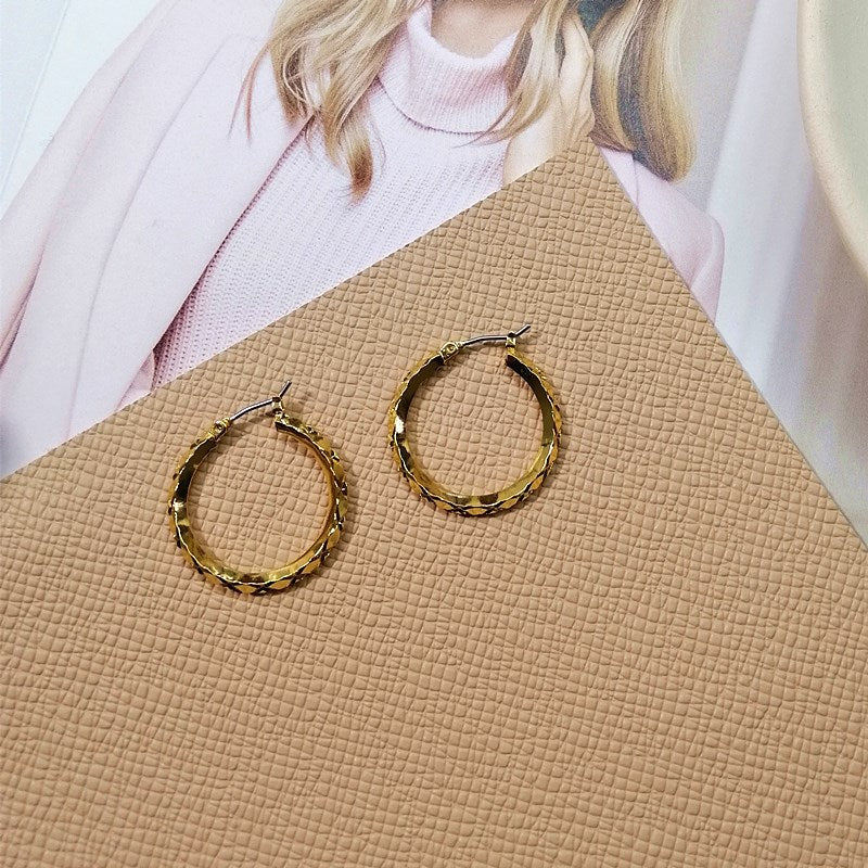 Circle Personalized Frosty Style Female Cool Handsome Earrings