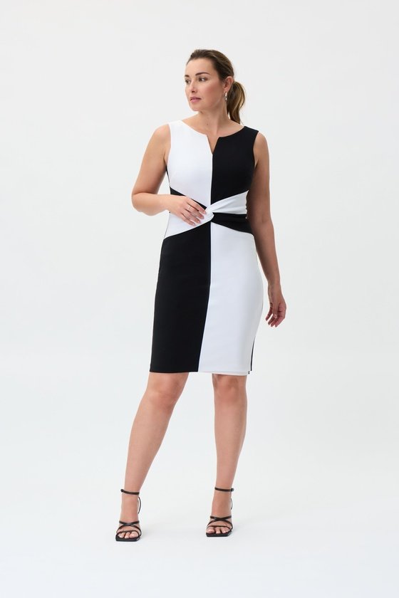 Joseph Ribkoff Color-Block Dress