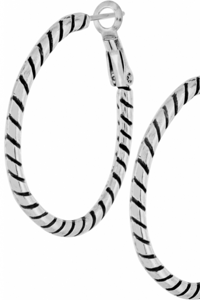 Twist Oval Hoop Charm Earrings