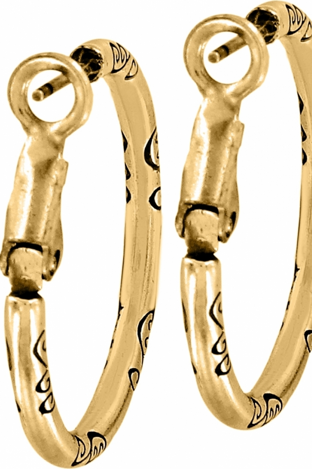 Small Hoop Charm Earrings