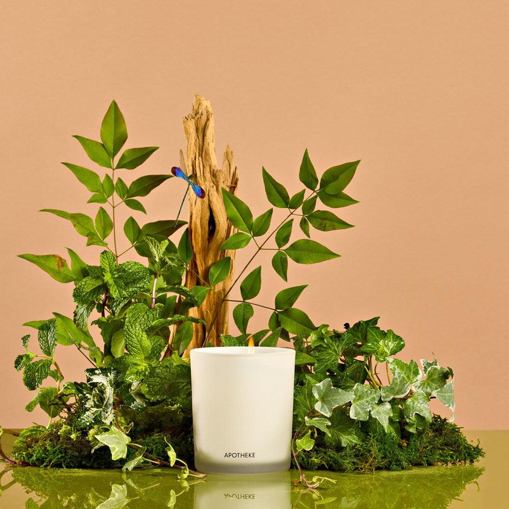 Wild Mint and Ivy Classic Candle